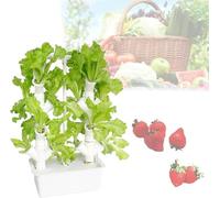 Système de Culture hydroponique, Tour de Culture hydroponique pour 16/24/32 Plantes avec Pompe et réservoir d'eau Mobile pour Plantes potagères, pour Les Amateurs de Jardinage, 16 Trous ~/