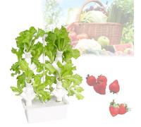 Système de Culture hydroponique, Tour de Culture hydroponique pour 16/24/32 Plantes, avec Pompe et réservoir d'eau Mobile, pour Les Amateurs de Jardinage, 32 Trous