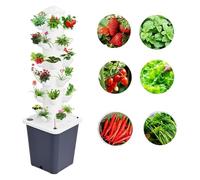 Système de culture hydroponique vertical avec pompe et minuteur, kit de jardin aéroponique intelligent pour herbes, fruits et légumes - Jardinière d'intérieur 18 trous avec pots en filet 25 trous