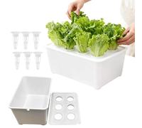 Système de Culture - Kit de boîte à 6 Trous pour Culture sans Sol, intérieur ou extérieur, Serre, Parfait pour Les légumes, Les Fleurs, Les Fruits sur Le Rebord de fenêtre