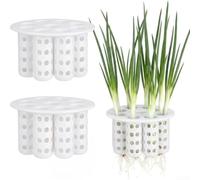 Système de culture sans sol à 7 trous pour herbes d'intérieur, plastique PP réutilisable pour pot d'échignon et plateau de pépinière de racines, kit de jardin pour rebord de fenêtre, oignons verts et