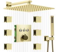 Système de douche tête de 12 pouces de support mural de robinet de robinet LWX