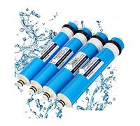 Système de filtration d'eau, 50/75/100/125GPD maison cuisine osmose inverse RO Membrane remplacement système d'eau filtre purificateur d'eau système de Filtration d'eau(50GPD)