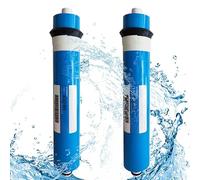 Système de filtration d'eau sous évier 2 pièces 50/75/100GPD maison cuisine osmose inverse RO Membrane remplacement système d'eau filtre purifiant l'eau(50G 2PS)