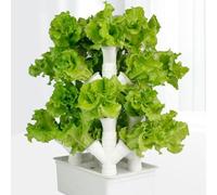 Système de jardin vertical hydroponique d'intérieur - Mini tour automatisée pour herbes et légumes pour les amateurs de jardinage - Solution de culture domestique