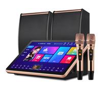 Système de karaoké professionnel, machine de karaoké de 39,6 cm avec 2 microphones et haut-parleurs sans fil, disque dur 500 G intégré, mégaphone numérique DSP professionnel, pour réunions de famille