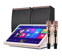 Système de karaoké professionnel, machine de karaoké de 39,6 cm avec 2 microphones et haut-parleurs sans fil, disque dur 500 G intégré, mégaphone numérique DSP professionnel, pour réunions de famille
