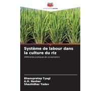 Système de labour dans la culture du riz