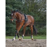 Système de longe Waldhausen Noir Poney/Cob