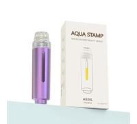 Système de micro-perfusion pour soins de la peau Derma Roller pour femme Outil de beauté Microneedling pour le visage, le cuir chevelu, les lèvres - Type de tampon avec boîtier en alliage