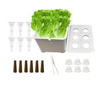 Système De Plantation Légumes Laitue Et Fleurs Adapté Aux Débutants
