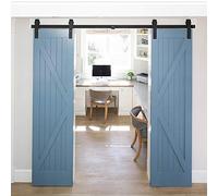 Système de Porte Coulissante, Rail Porte Coulissante avec Roulette, Kit Coulissant pour Systeme Porte Double, Quincaillerie Kit de Rail pour Porte Coulissante (Classique, 366cm)