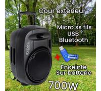 Système de sonorisation Portable Autonome 12" - 700W USB/MP3/Bluetooth/Vox +2 microsVHF+ Clé USB 32G