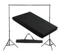 Système de support de toile de fond 300 x 300 cm Noir Noir G