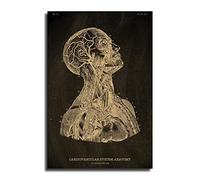 Système Gardiovasculaire Anatomie Squelette Anatomique Tableau Noir Affiche Toile Affiche Vintage Maison Chambre Médecine Étudiant Décor Médical Art Mur Peinture 11 Poster Peinture Décorative Toile