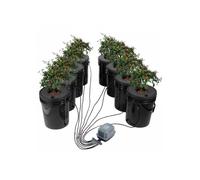 Système Hydroponique DWC 20 L à 8 Seaux Culture en Eau Profonde avec Pompe à Air Pierres à Air et Niveau d’Eau pour Feuilles