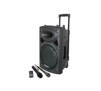 SYSTEME PORTABLE AUTONOME 8"/20cm AVEC USB/REC/VOX