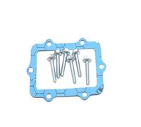 Système Réglable Soupape ÀClapet Reed Kit De Motoneige Moteur À Valve À Clapet Pour 600 E-TEC Et Adapté À La Plaque De Soupape D'admission Pour SKI-DOO 600HO Soupape À Clapet Reed Valve(Gasket Kit)