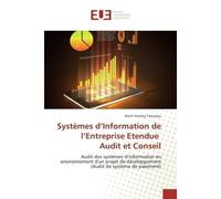Systèmes d'Information de l'Entreprise Etendue Audit et Conseil Audit des systèmes d'information en environnement d'un projet de développement (Audit de système de - Reich Fresney Tsoumou - Universita