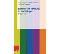 Systemische Beratung In Fünf Gängen