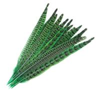 SYSUII Lot de 10 plumes de faisan - 25-30 cm - Plumes de queue de faisan naturelles - Plumes de poulet pour artisanat, attrape-rêves, carnaval, costume, masque, mariage, fête, décoration - Vert