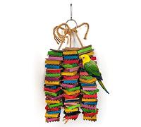 SYUULCOI - Échec de l'analyse - Échec de l'analyse : Aucun Contenu en Anglais n'a été détecté dans Les Paragraphes 1, 2, 3, 4 et 5.