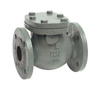 Syveco 360050 Série 360 Clapet anti-retour en fonte avec siège en laiton PN16 bride M50