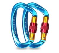 Syzplnwy Lot de 2 mousquetons professionnels robustes en forme de D pour escalade, alpinisme, hamac, camping et utilisation en extérieur - 25 kN - Bleu