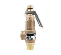 SZBTQMUW Valve à Ressort, Tige Manuelle en Bronze(DN40)