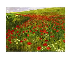 Szinyei Merse Pal Meadow With Poppies Extra Large Wall Art Print Premium Canvas Mural mur