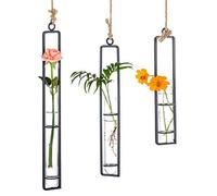 Sziqiqi Vase en Verre Créatif en Fer Forgé, Récipient Hydroponique Suspendu, Tube en Verre, Arrangement Floral, Panier Suspendu, Décoration De Plantes Suspendues De Salon Jardin, Noir