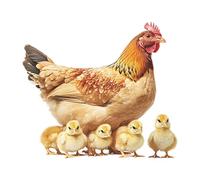 SZLIFE Autocollant en forme de poulet, décoration e, coq, poule, imperméable, et poussins, pour dortoir, chambre d'enfant, surface