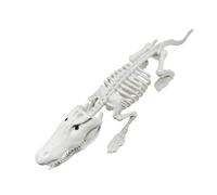 SZLIFE Décorations de Squelettes de Crocodiles pour Halloween, Accessoires de Fête Effrayants pour Chambre Hantée et Jardin