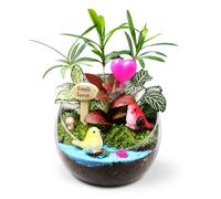 SZLIFE Kit Terrarium DIY Complet, Verre Carré 10x10cm pour Bureau, Thème Décoratif Fille & Lapin, Outils d'Assemblage Inclus