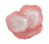 SZLIFE Lot de 3 assiettes en verre en forme de fleur, assiettes à dîner, vaisselle de ménage, plateau de rangement pour bijoux, porte-collations pour