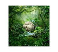 Weezer – SZNZ: Spring – CD – Rhino