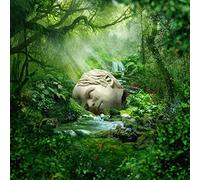 Weezer – Sznz: Spring – Vinyle 33 tours – Rhino