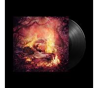 Weezer – SZNZ: Summer – Vinyle 12" EP – Atlantic Bicycle