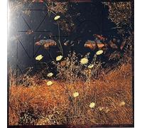 Szun Waves - Earth Patterns (Brown Smoke)
