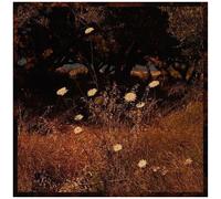 Szun Waves - Earth Patterns [Vinyl Lp] Digital Download