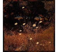 Szun Waves - Earth Patterns [Vinyl Lp] Digital Download