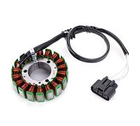 Szwaldaper Bobine de stator magnéto générateur moteur moto, for la charge BN600, TNT600 BJ600 Bobine d'allumage de moto