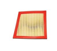 Szwaldaper Ensemble de filtres à air de voiture, for Ford, for Ecosport, for Fiesta, modèle de filtre à air, filtre à air d'habitacle, pièces automobiles Filtre à air(Red Engine air filter)