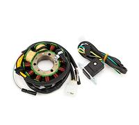Szwaldaper Générateur de magnéto de moto, bobine de stator, générateur de charge, for CMX 250 CB250 31120-KEN-691 31120-KBG-004 31120-KBG-A01 Bobine d'allumage de moto