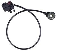 Szwaldaper Xl3f-12a699-aa Xl3f12a699aa Capteur de Cognement, for Ford, for Lincoln, for Mercury, E150 E250 E350 E450 E550, for F-150, F250 F350 F450 Capteur de cliquetis