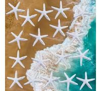 SZYLJSY Lot de 21 étoiles de mer décoratives en résine - Étoiles de mer - Animaux marins - Décoration d'extérieur - Mini étoiles de mer - Dos plat - Pour mariage, plage, fête à thème, décoration de la