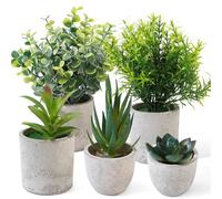 SZZHIYONG Lot de 5 Mini Plantes artificielles comme de Vraies Petites Plantes artificielles en Eucalyptus Langue de Serpent pour décoration Salon, Chambre à Coucher, Salle de Bain, Cuisine, Bureau