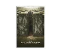 szzmyo Poster du film The Labyrinthe Runner - Impression sur toile moderne et esthétique - Pour chambre à coucher, salon - 40 x 60 cm - Sans cadre