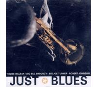 T-Bone Walker, Big Joe Williams, Brownie McGhee, Big Joe Turner...