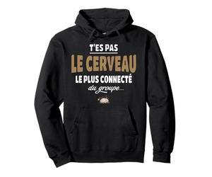 T’ES Pas Le Cerveau Le Plus connecté du Groupe, Humour Idiot Sweat à Capuche